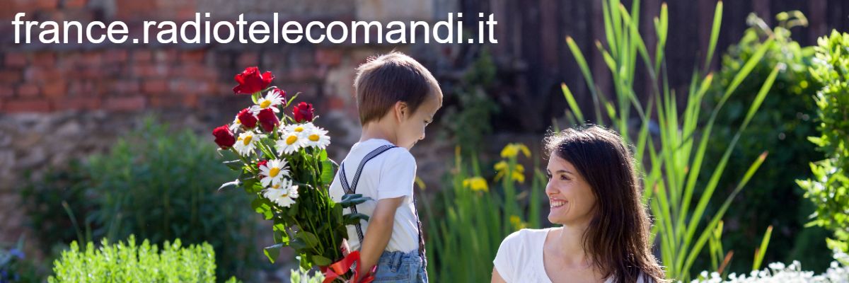 france.radiotelecomandi.it